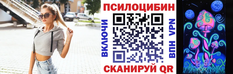 Купить закладки  Будённовск  Псилоцибиновые грибы MAGIC MUSHROOMS 